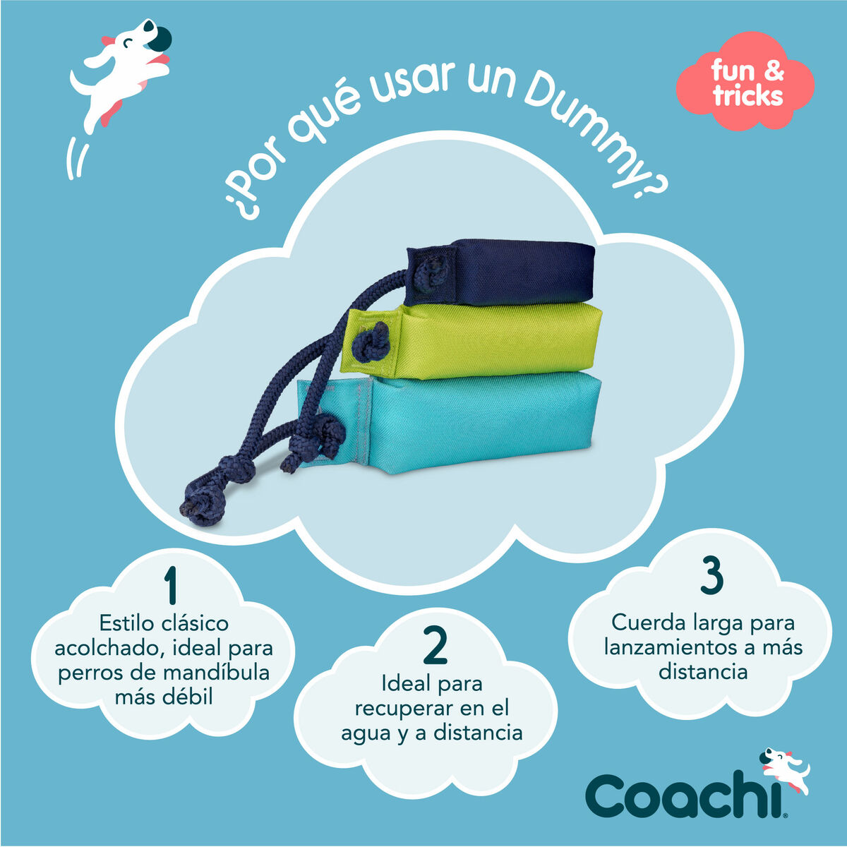 Training toy Coachi - 4