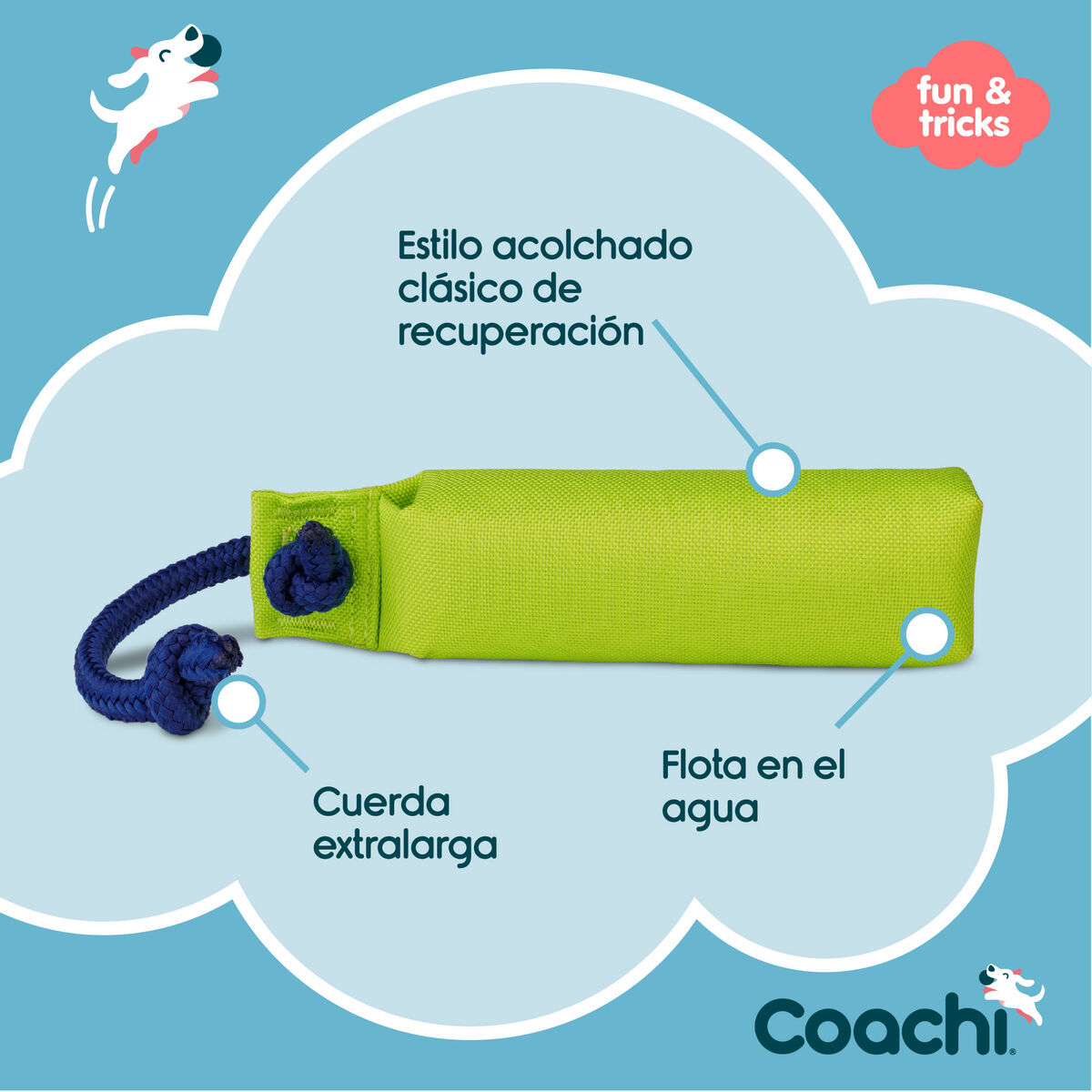 Training toy Coachi - 3