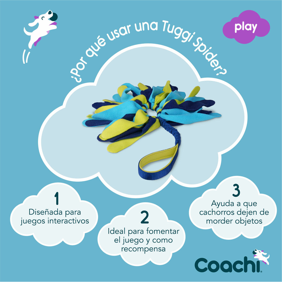 Training toy Coachi TUGGI SPIDER Blå - 4