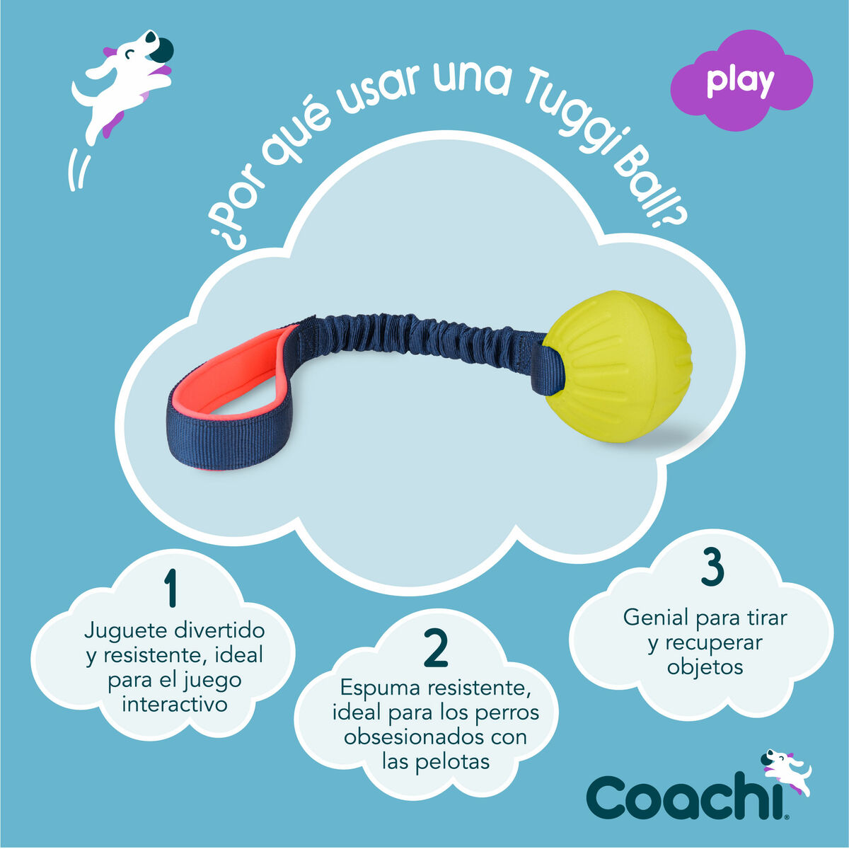 Training toy Coachi TUGGI BALL Blå - 4