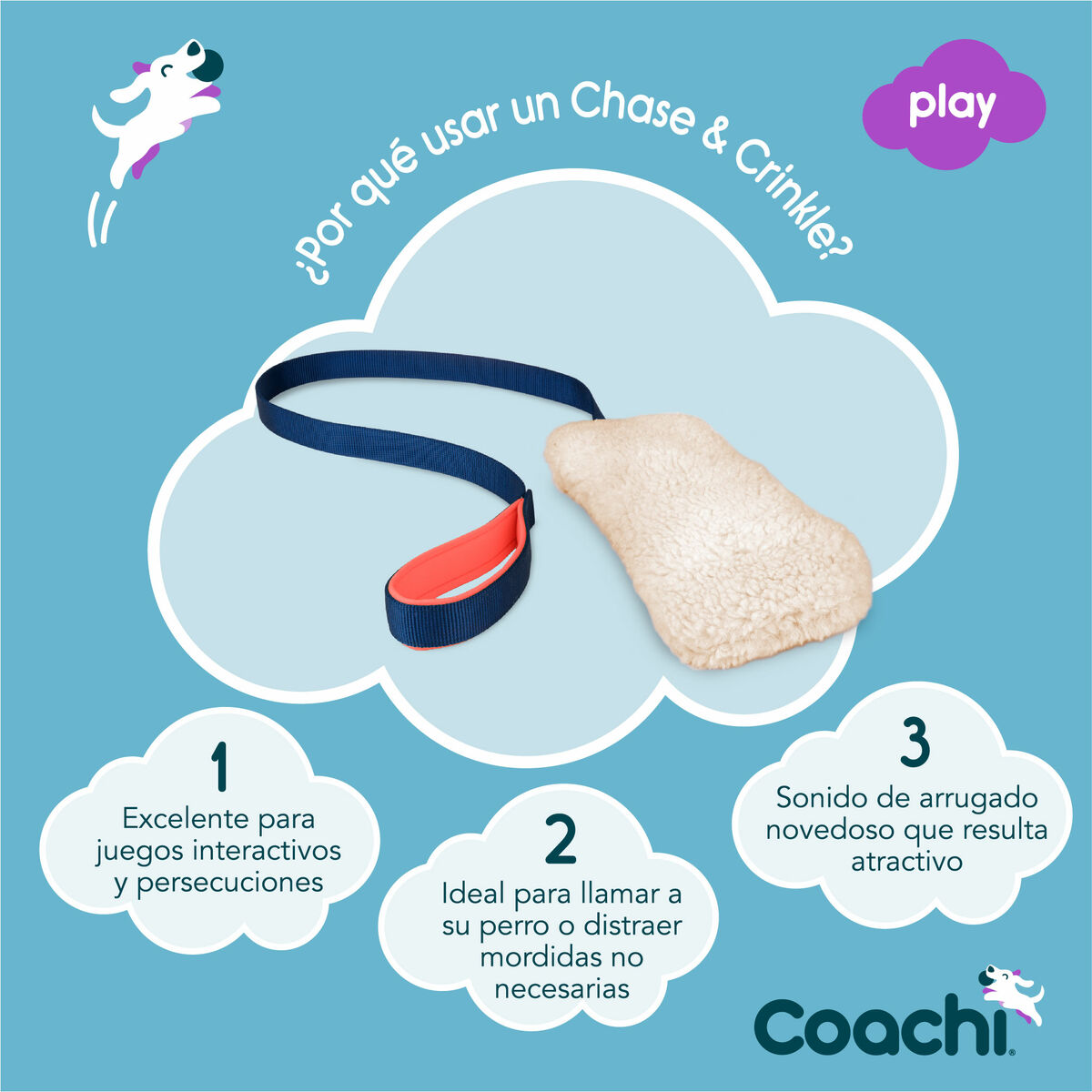 Training toy Coachi CHASE & CRINKLE Blå - 4