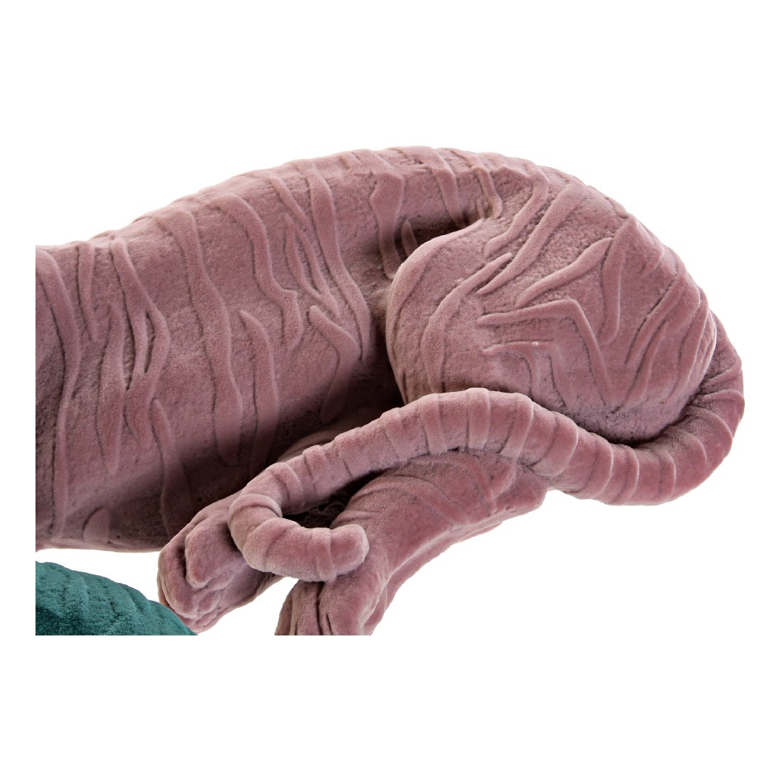 Prydnadsfigur DKD Home Decor Grön Ljusrosa Tiger 36 x 17,5 x 13,3 cm (2 antal) - 3