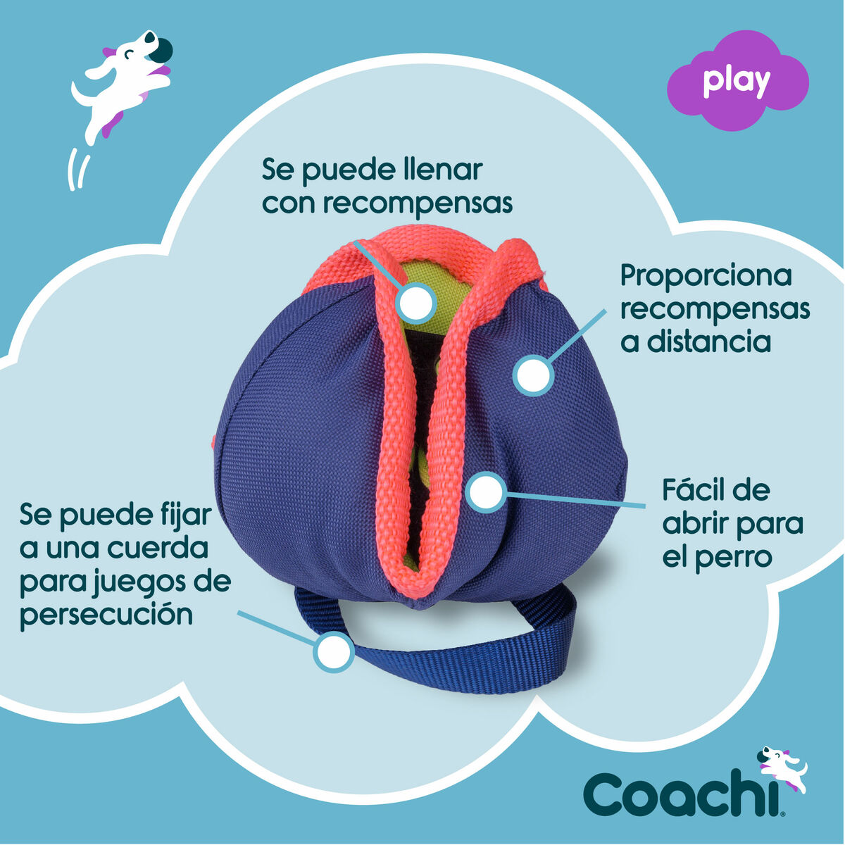 Training toy Coachi CHASE & TREAT Blå - 4