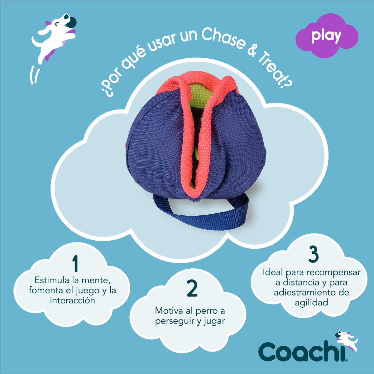 Training toy Coachi CHASE & TREAT Blå - 5