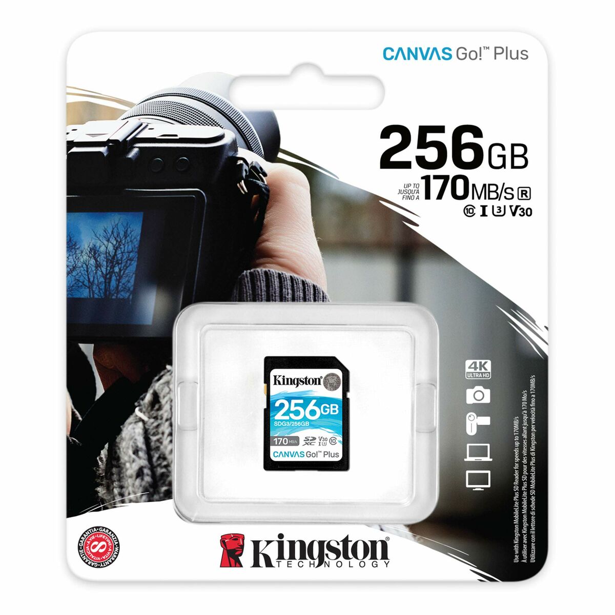 SD Minneskort Kingston SDG3/256GB 256 GB - 2