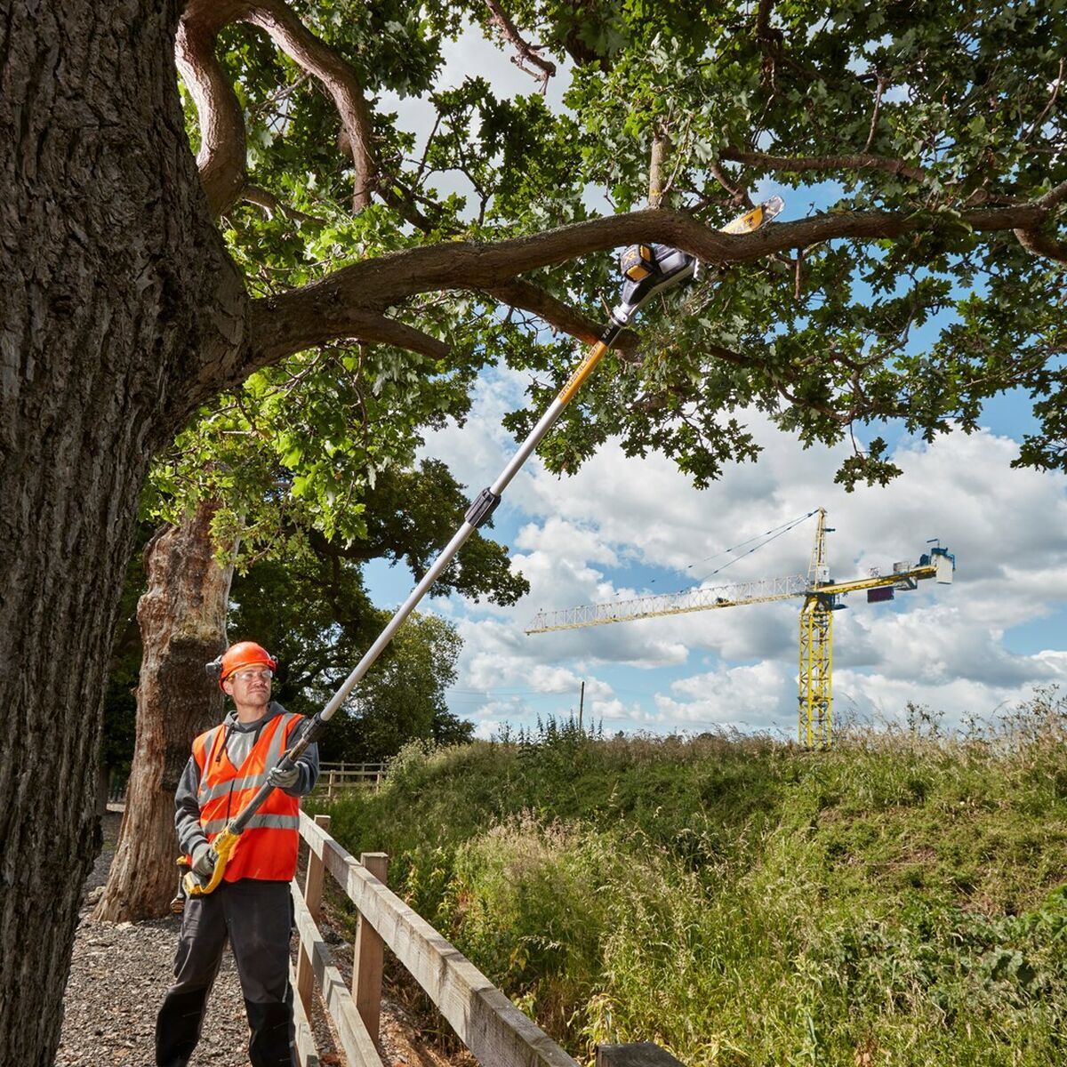 Motorsåg Dewalt DCMPS567N-XJ 20 cm - 2