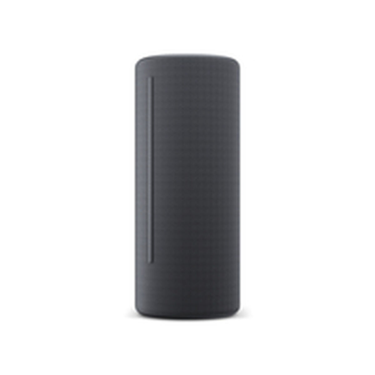 Bluetooth Högtalare Loewe Grå - 3