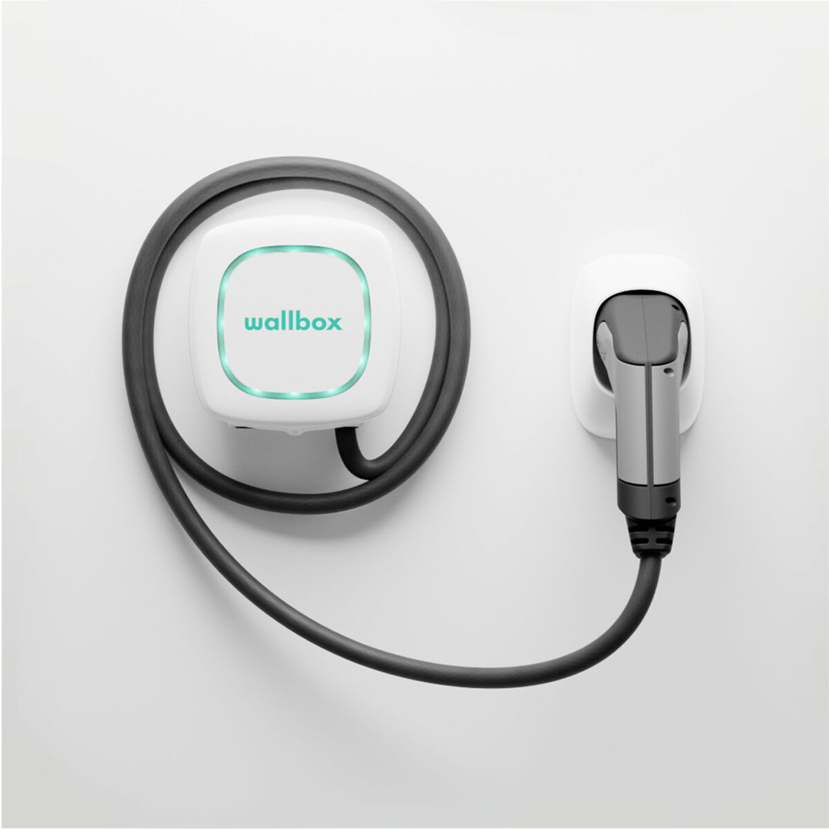 Billaddare Wallbox Pulsar Plus - 14
