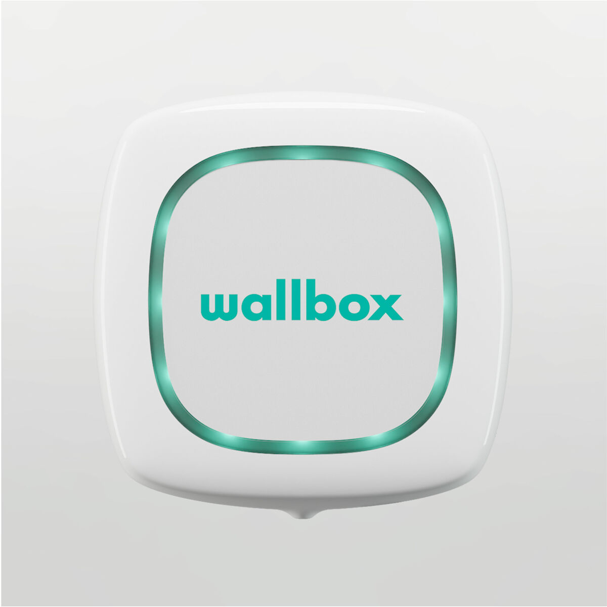 Billaddare Wallbox Pulsar Plus - 15