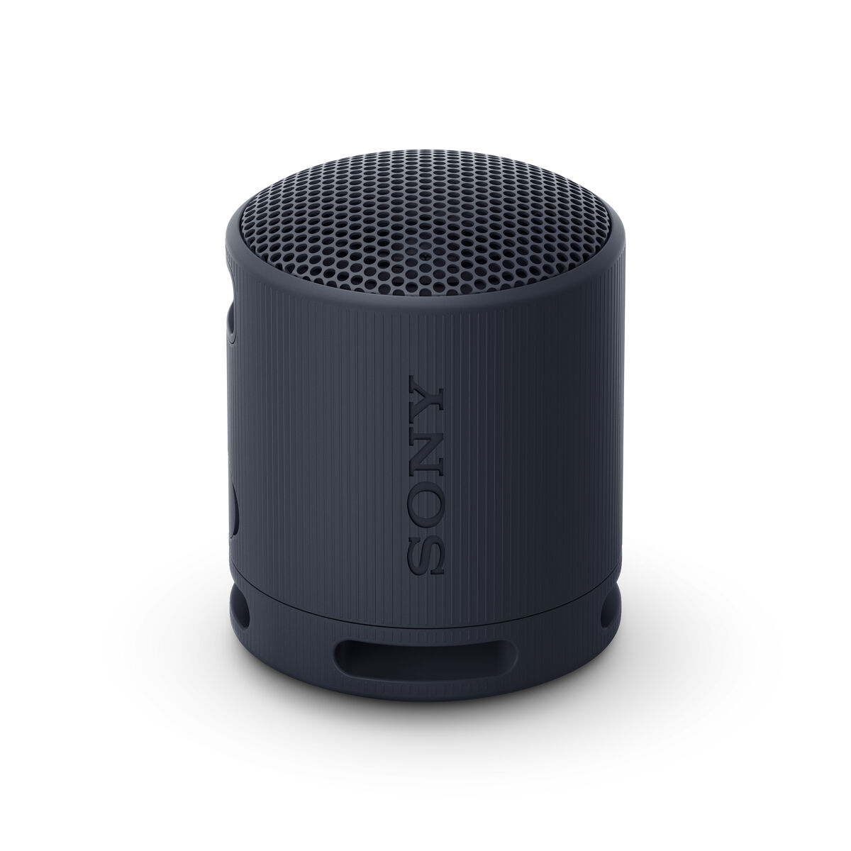 Bluetooth Högtalare Sony SRSXB100B.CE7 Svart