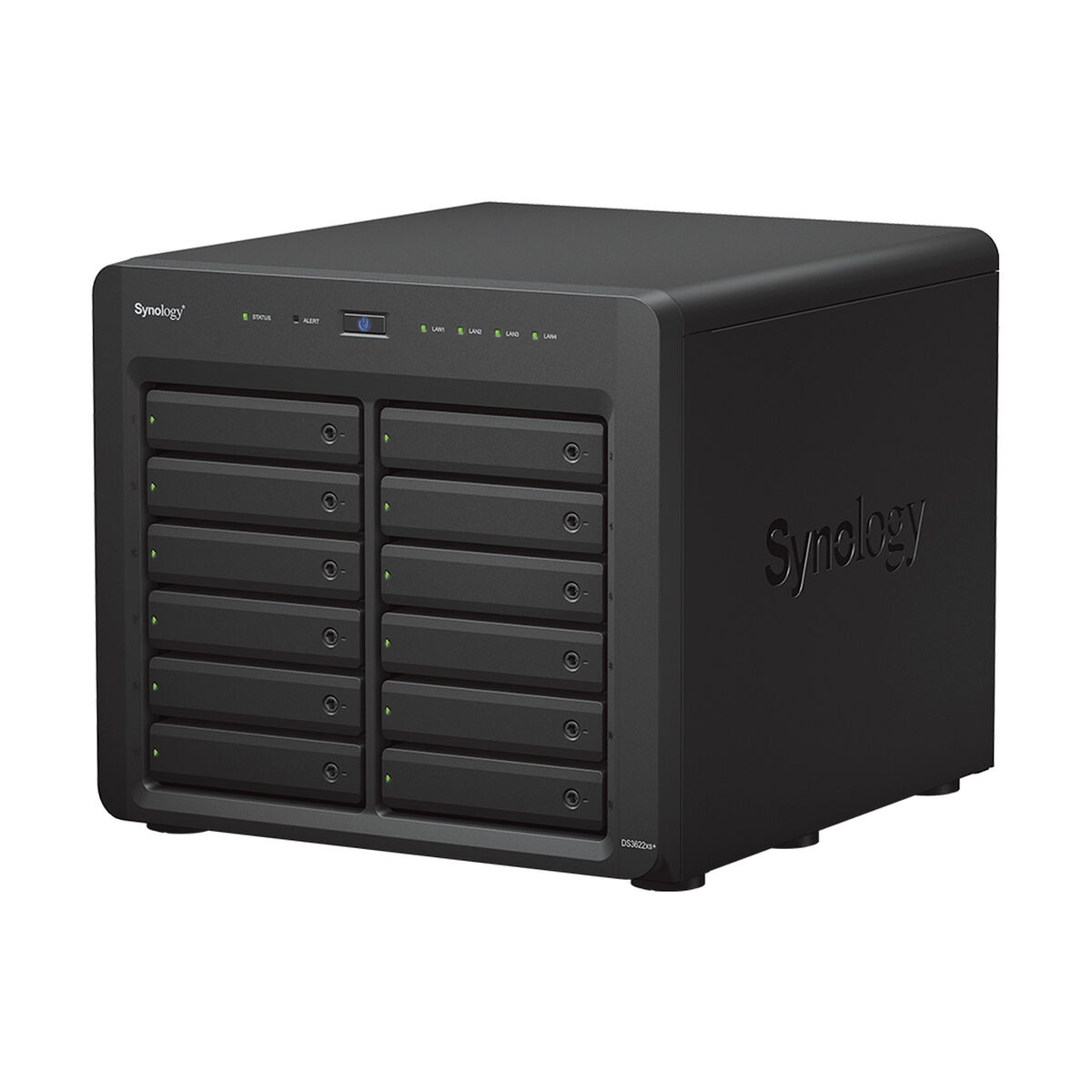 Nätlagringsenhet NAS Synology DS3622xs+ Svart - 3