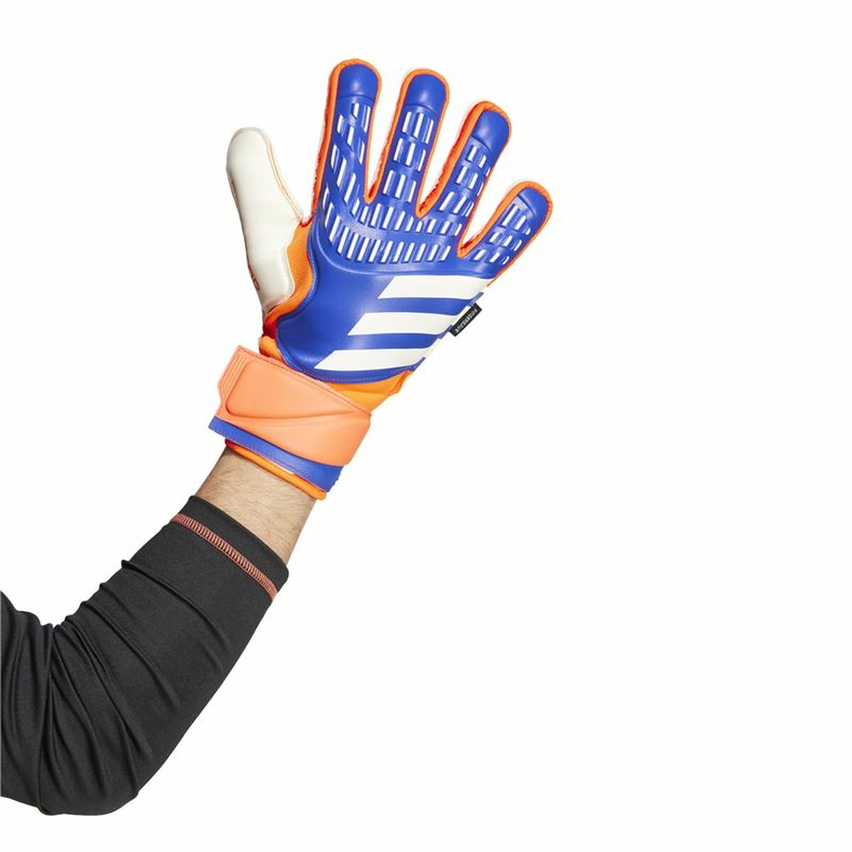 Målvaktshandskar Adidas Predator Match Blå Vuxna - 3