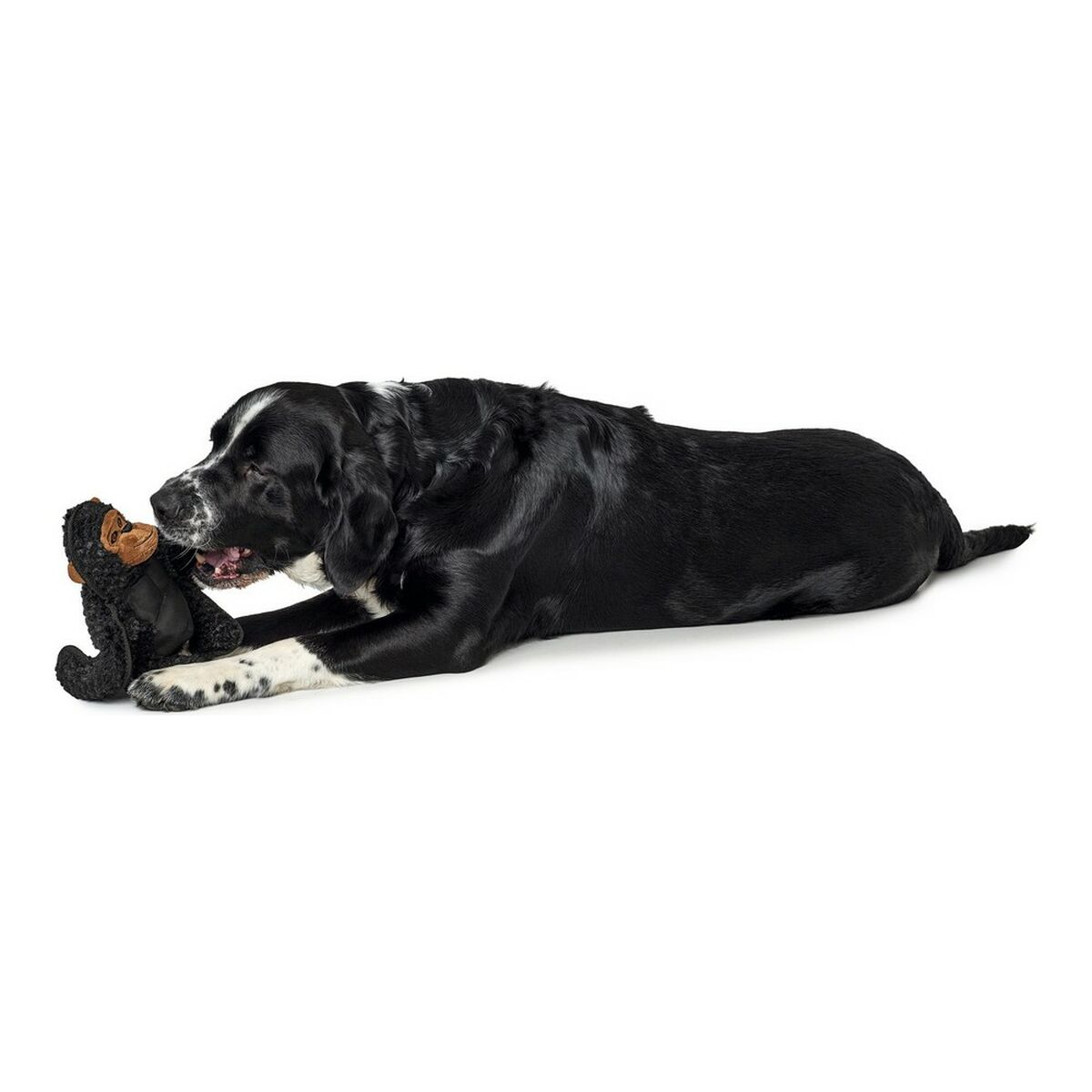 Mjuk leksak för hundar Hunter Tough Kamerun Gorilla (29 cm) - 8
