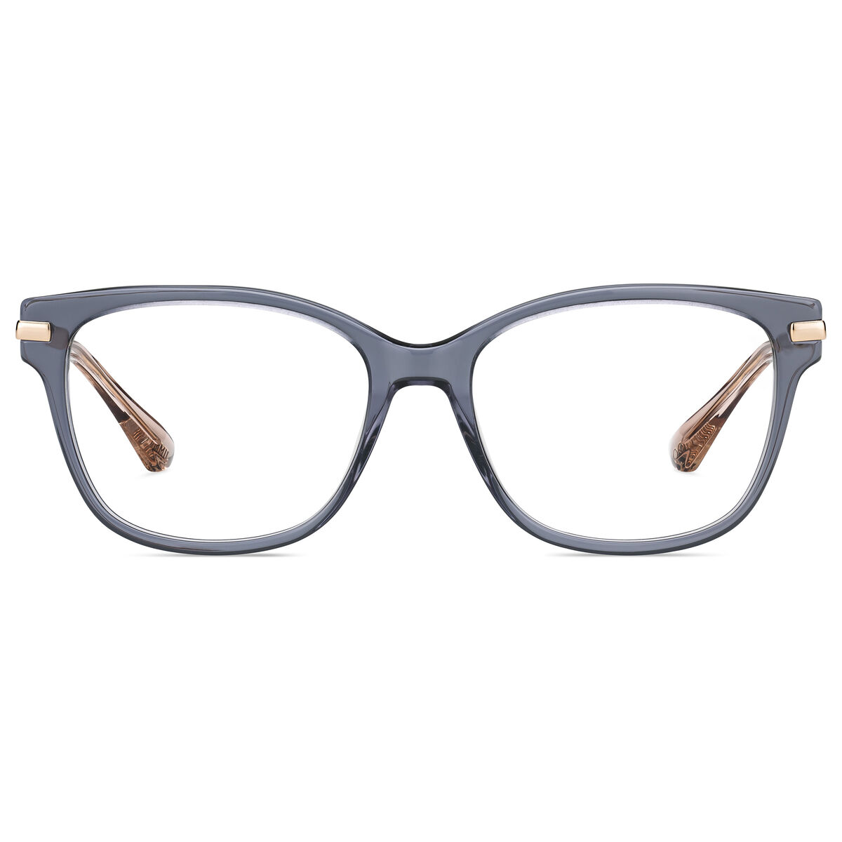 Glasögonbågar Jimmy Choo JC181-14I Ø 51 mm - 2