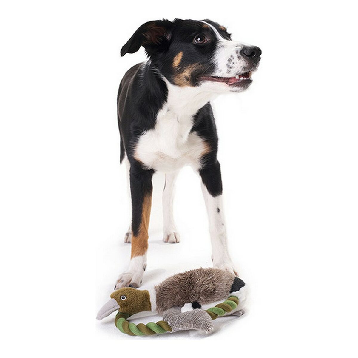 Mjuk leksak för hundar Hunter Wildlife Train Med snöre Anka (26 cm) - 6