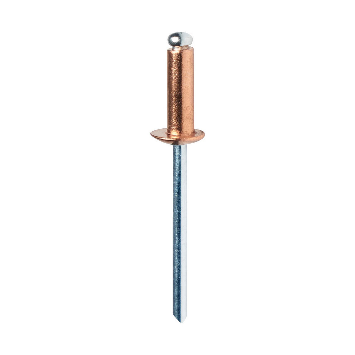 Nitar Rapid 5001467 Axel Ø 4,8 x 12 mm Koppar Aluminium (50 antal) - 3