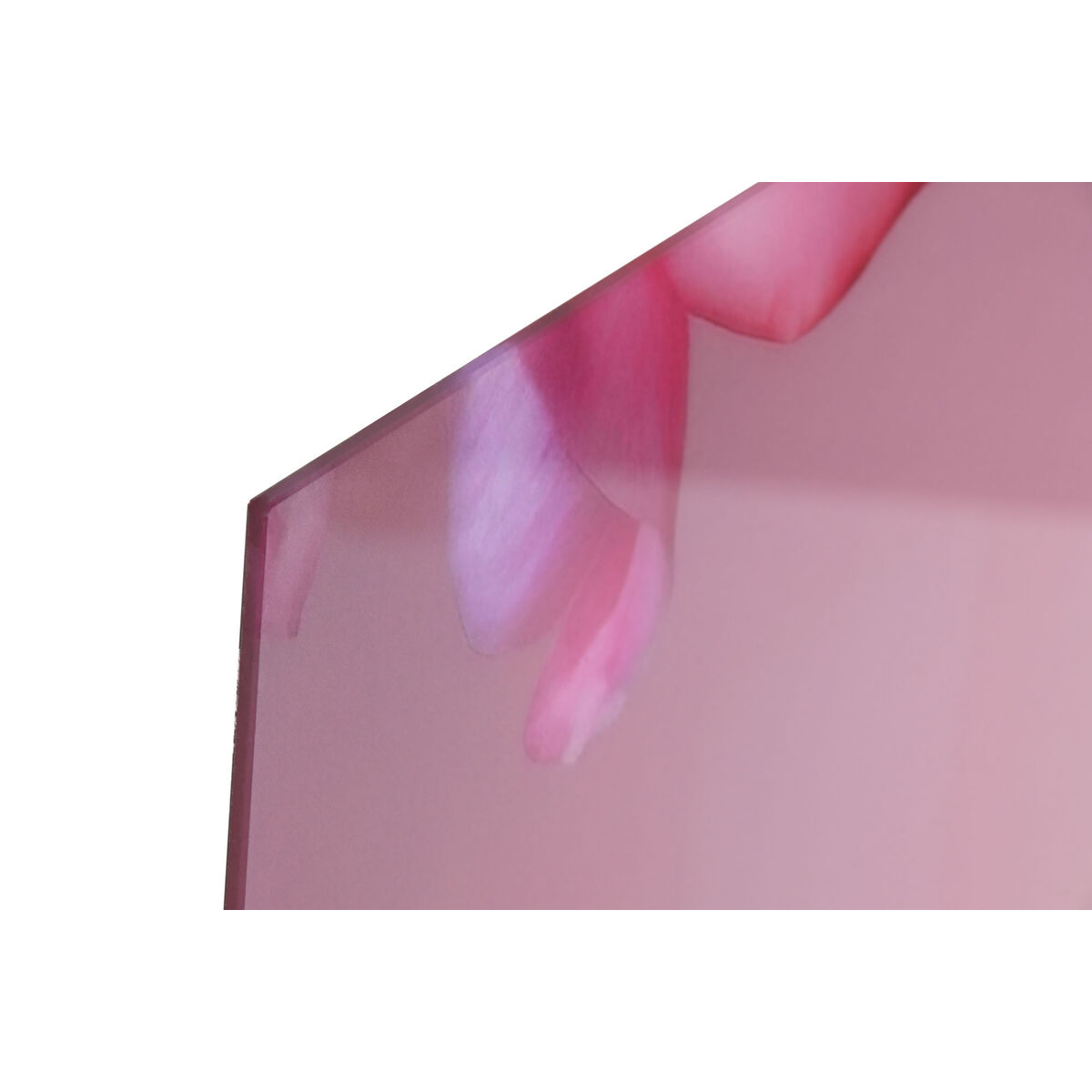 Tavla Home ESPRIT Härdat glas 150 x 0,4 x 100 cm - 2
