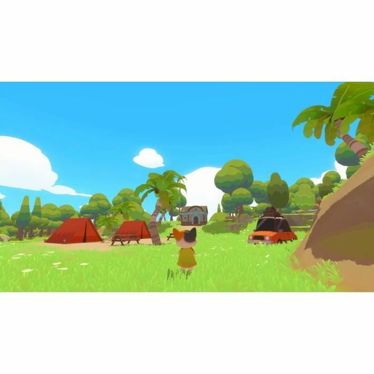 TV-spel för Switch Microids Petit Island - 5