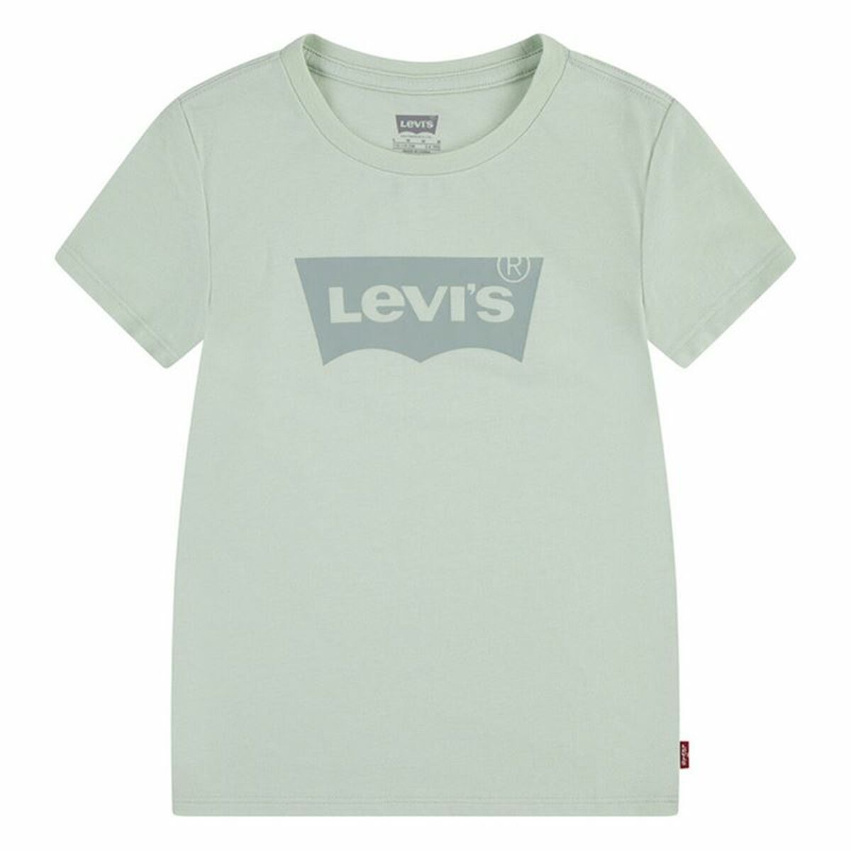 Barn T-shirt med kortärm Levi's Lvg Batwing