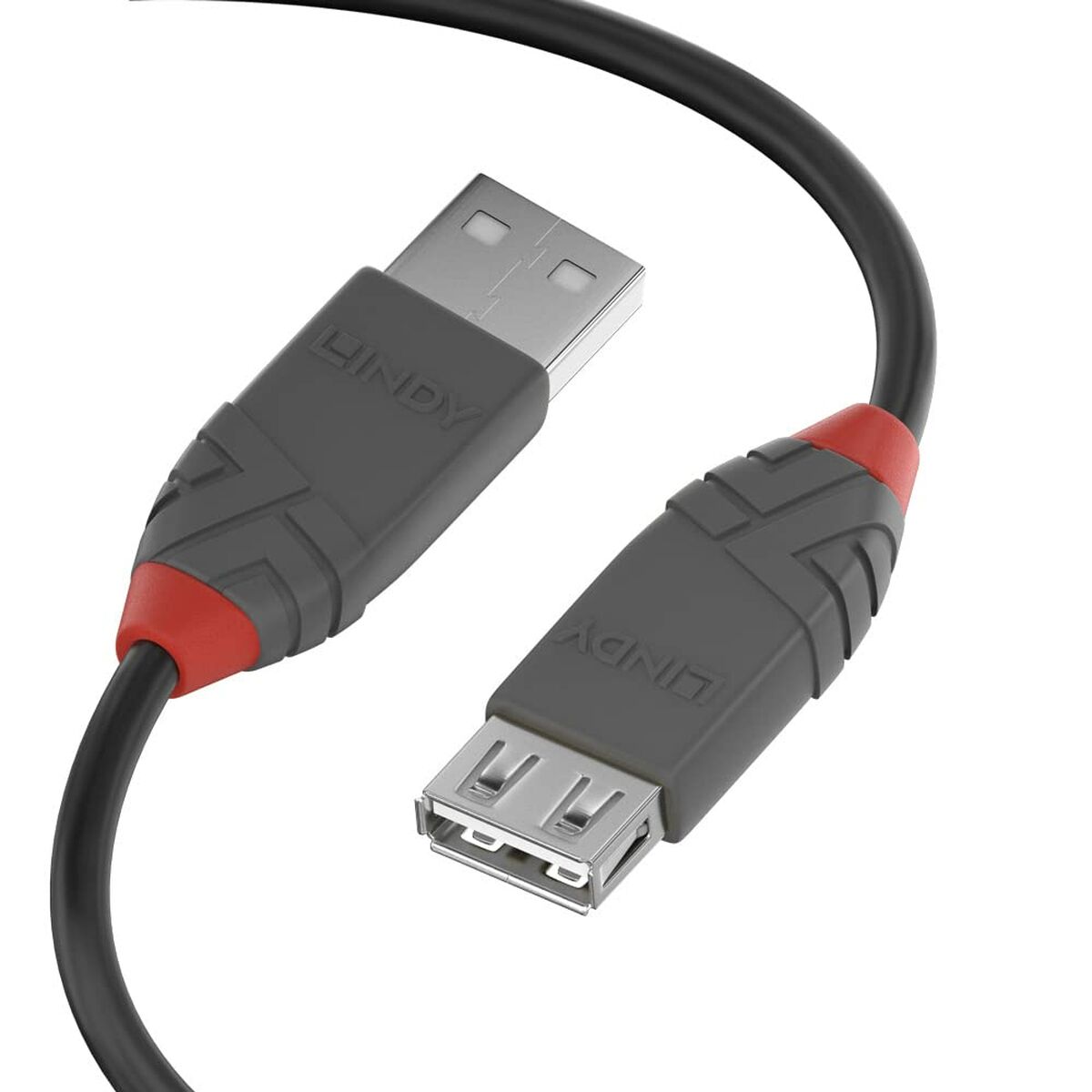 DisplayPort Kabel LINDY Svart 2 m