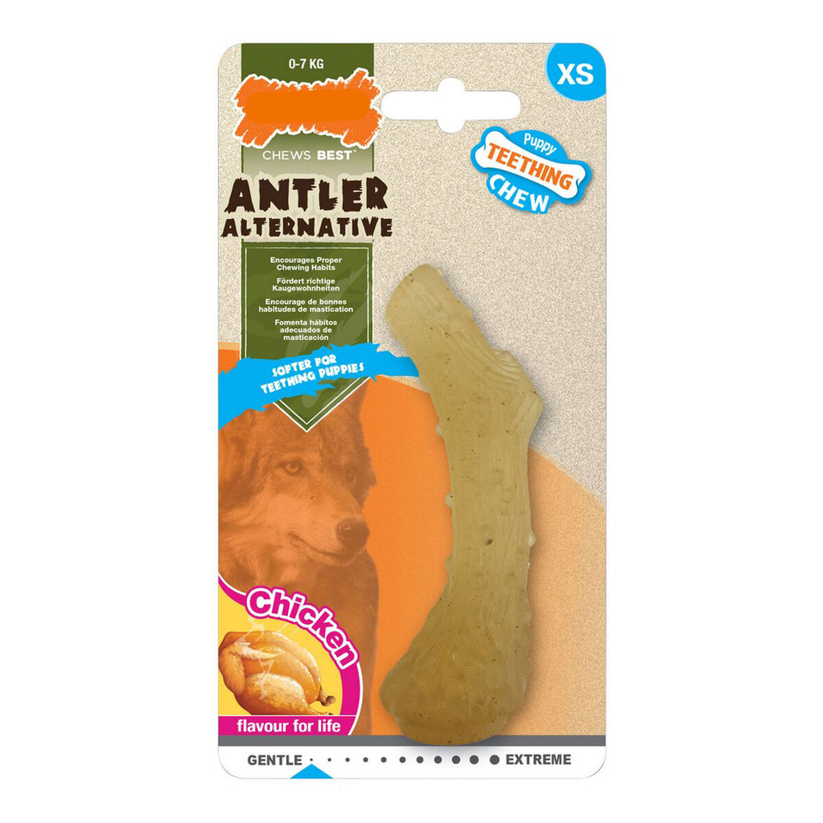 Tuggleksak för hundar Nylabone Horn Kyckling Termoplast XS-storlek Valpar - 2