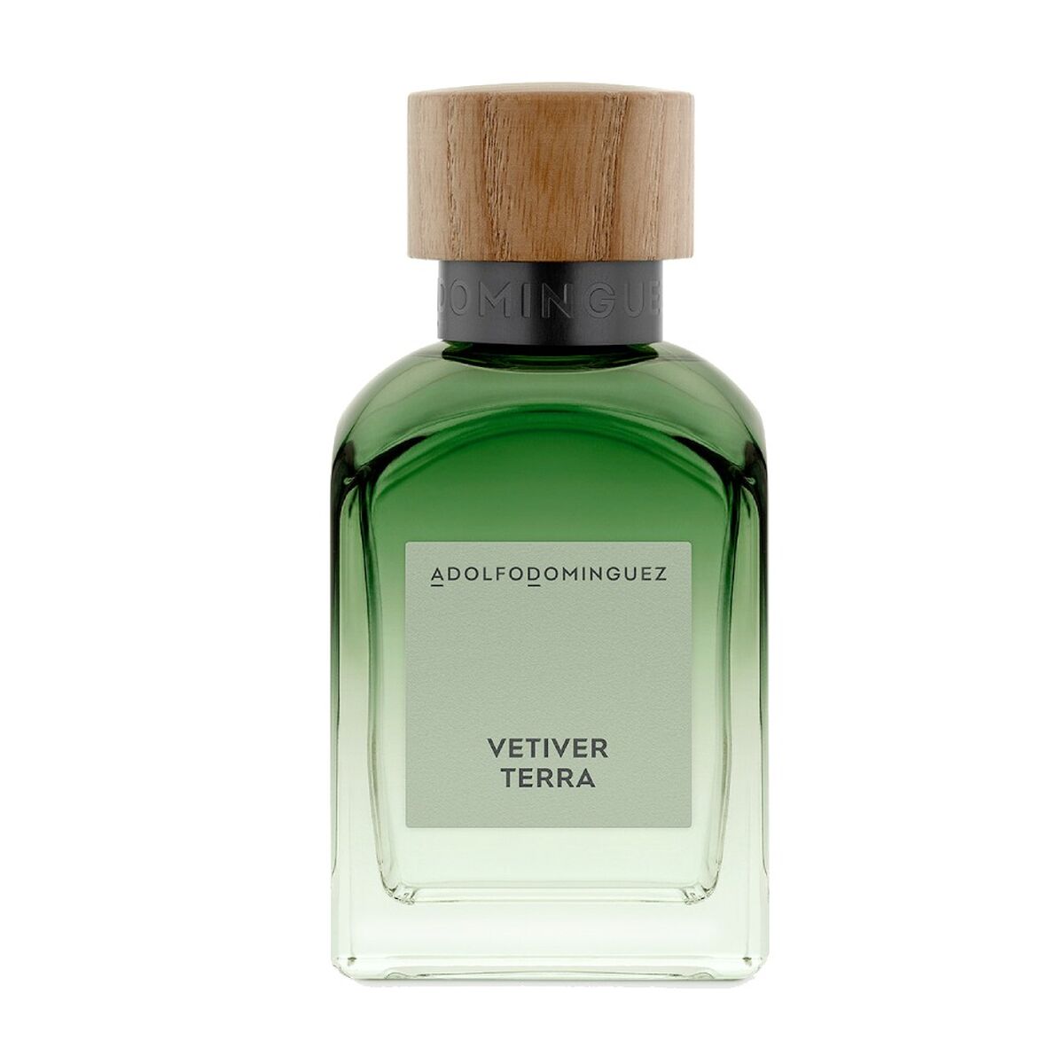 Parfym Herrar Adolfo Dominguez Vetiver Terra EDP EDP 200 ml - 2