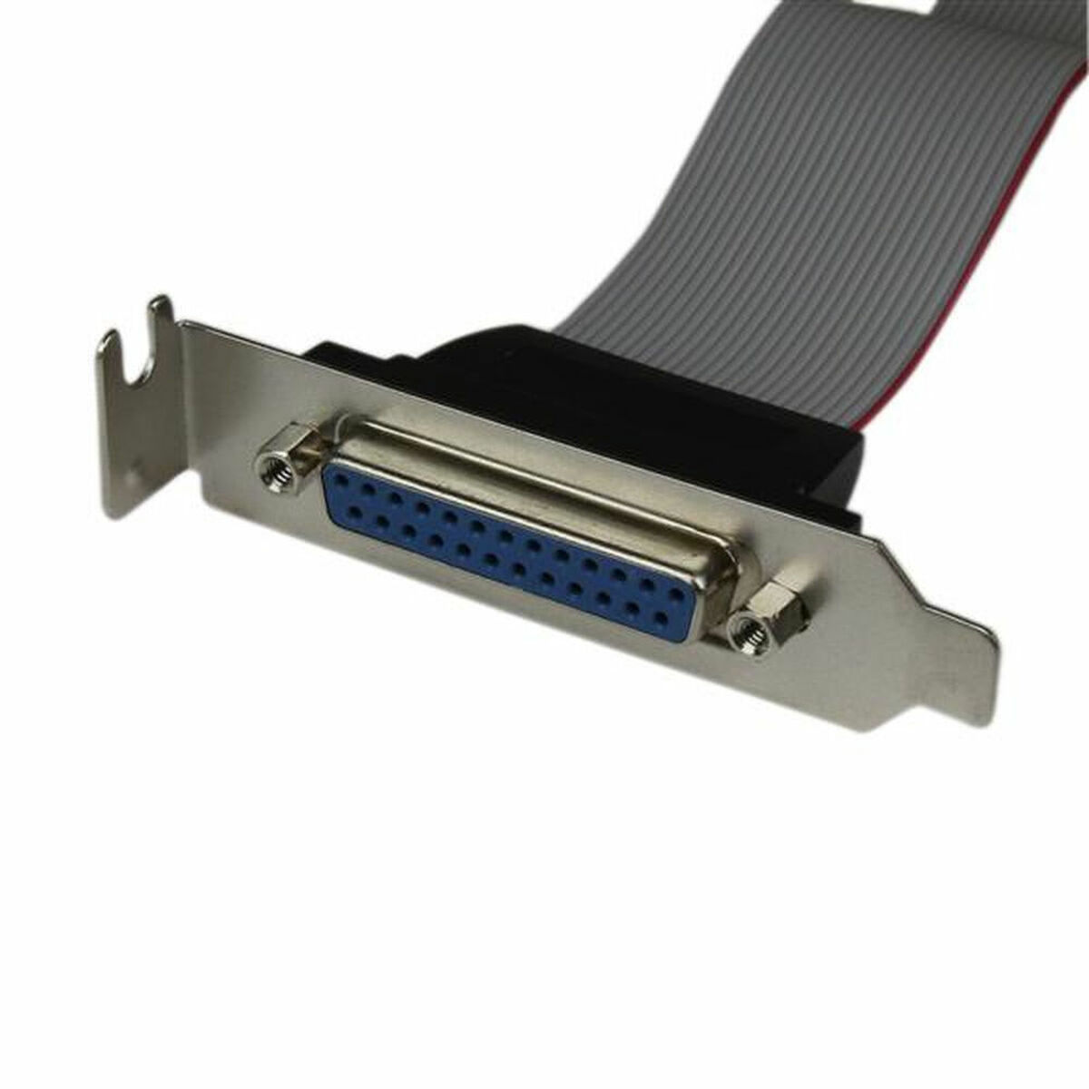 Adapter Startech PLATE25F16LP - 7