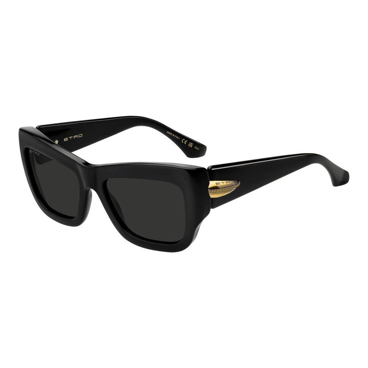 Unisexsolglasögon Etro ETRO 0121_S