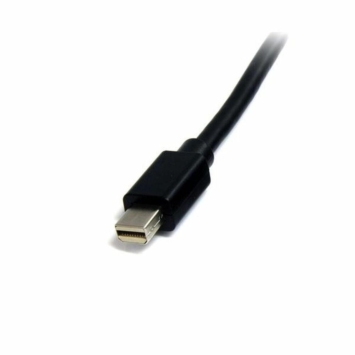MiniDisplayPort-kabel Startech MDISP2M              (2 m) 4K Ultra HD Svart - 2