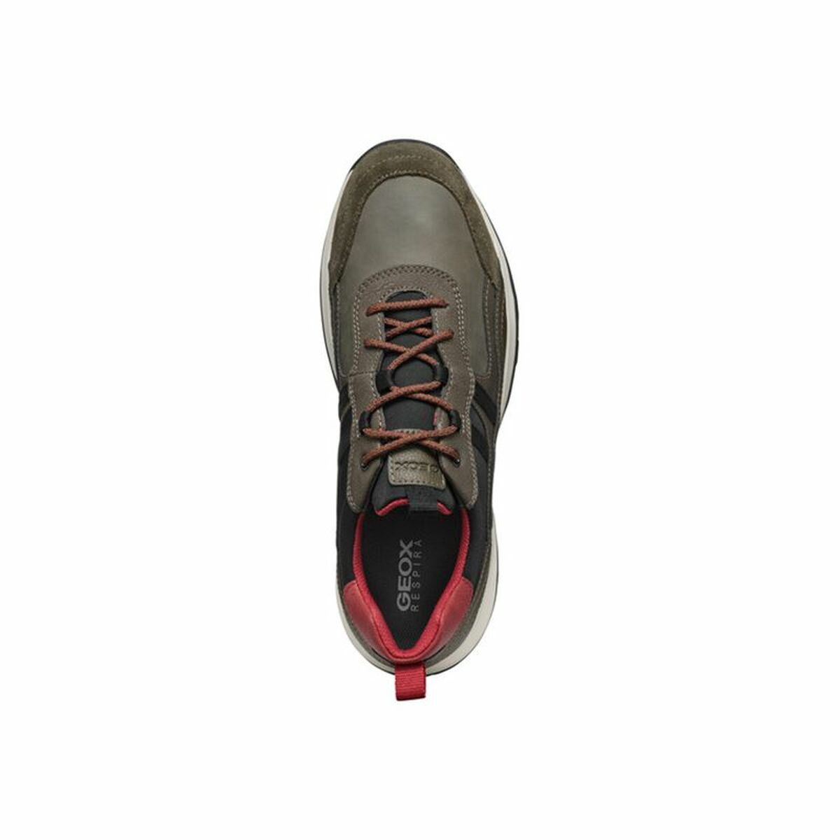 Sportskor Casual Herr Geox Terrestre Brun - 3