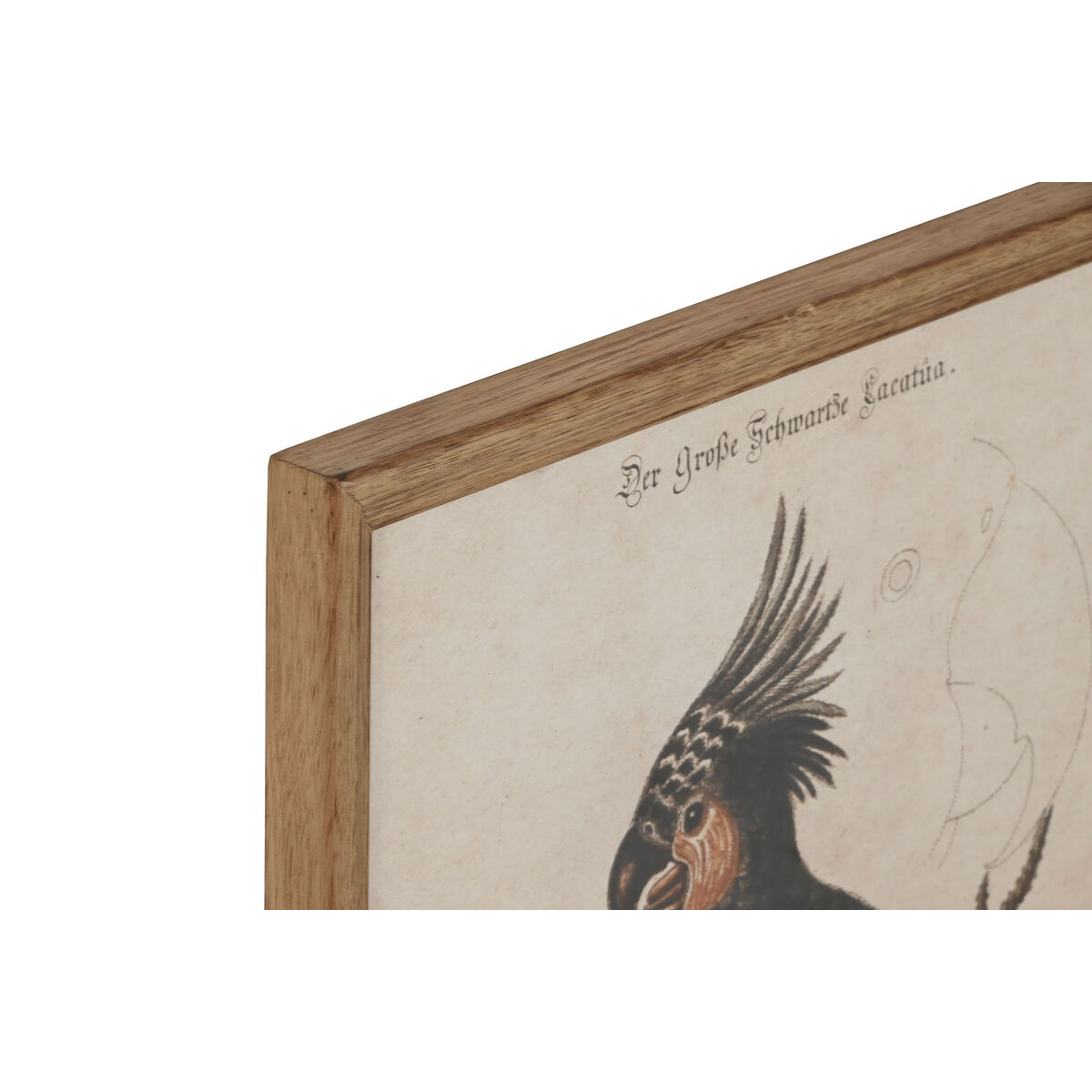 Tavla Home ESPRIT Beige Tropiskt 40 x 2 x 50 cm (4 antal) - 2