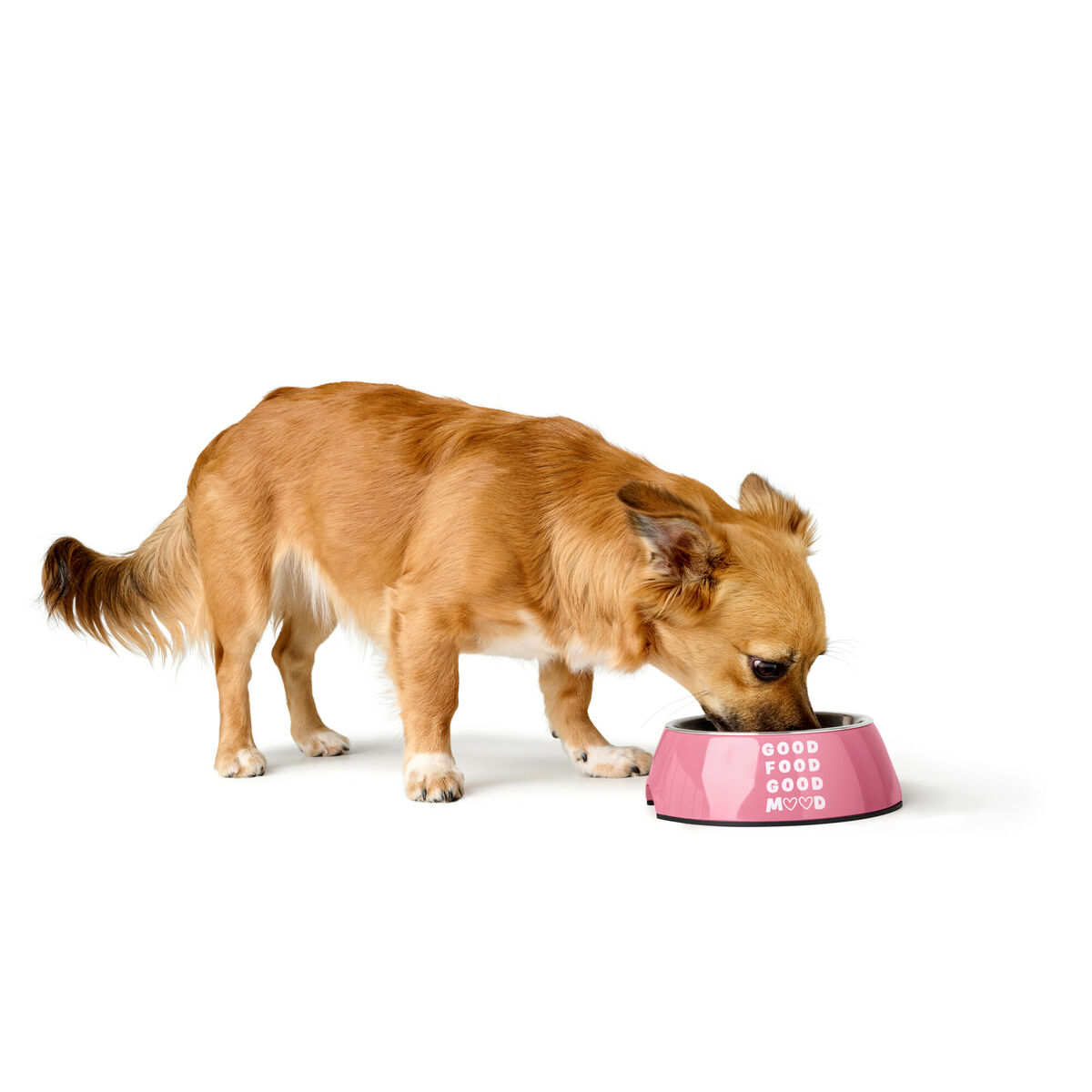 Hundmatare Hunter CHESTER Rosa 700 ml - 4
