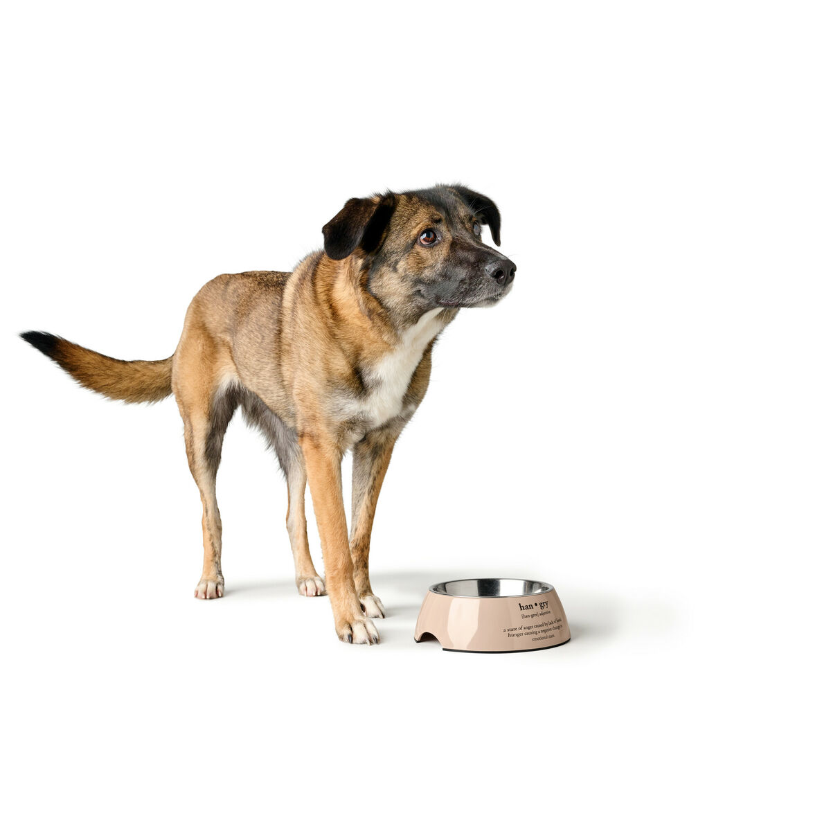 Hundmatare Hunter LUTON 160 ml - 6