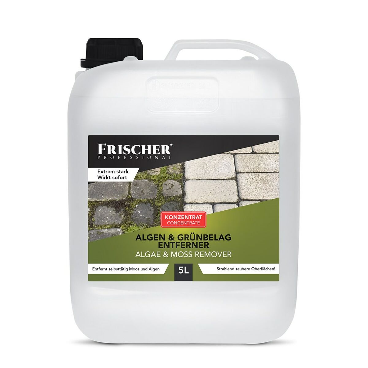 Fönsterdammsugare Frischer FR00241_5000 - 2