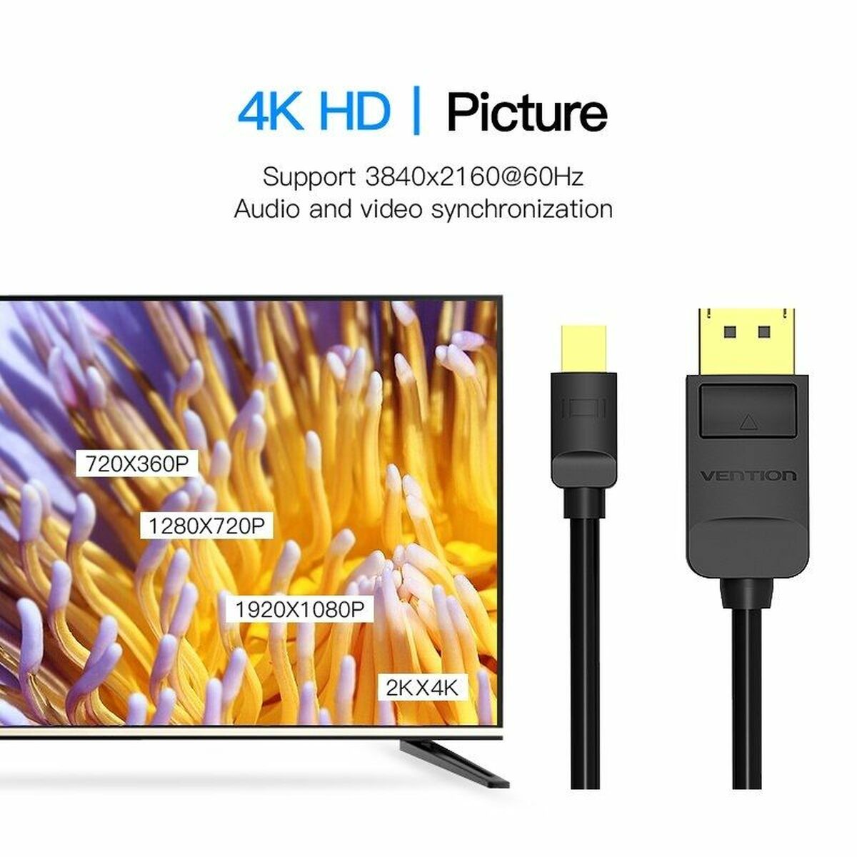 Mini-DisplayPort till DisplayPort-adapter Vention HAABI - 2