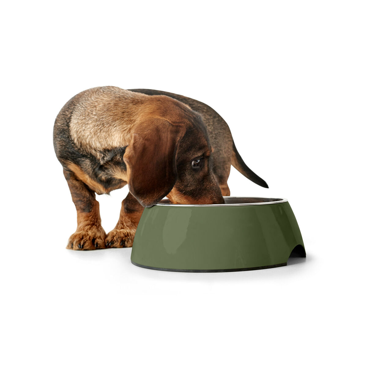 Hundmatare Hunter Grön 350 ml - 4