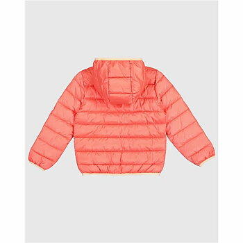 Träningsjacka Herr Champion Hooded Korall