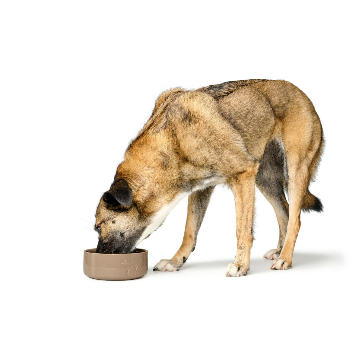 Hundmatare Hunter OSBY Beige Keramik 1,1 L - 2