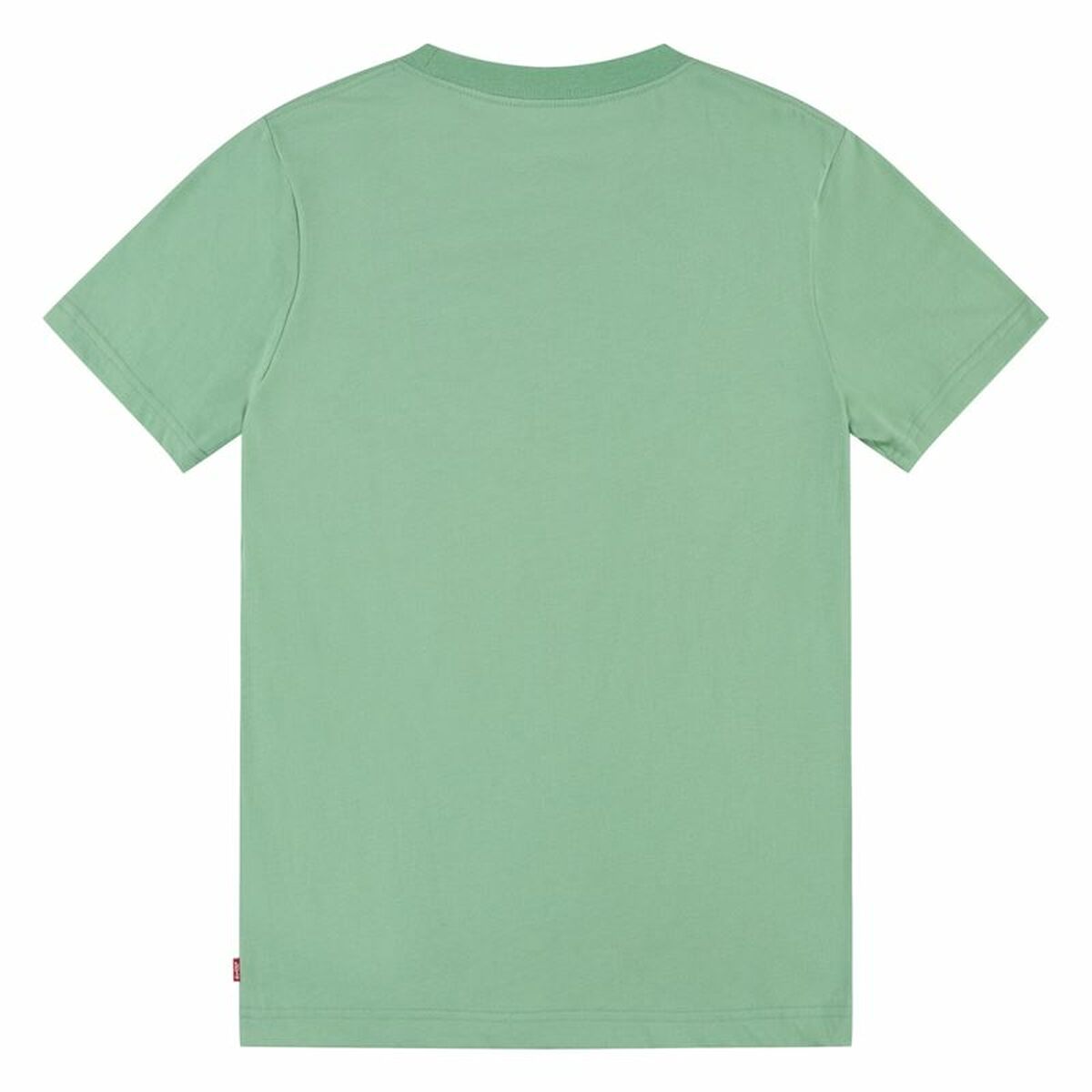 T-shirt Levi's Batwing Meadow  Aquamarine - 5