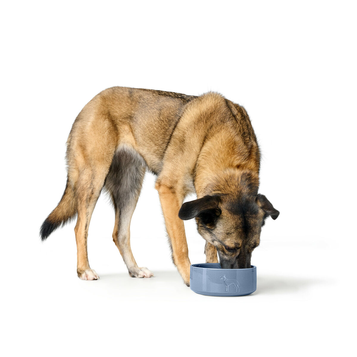 Hundmatare Hunter OSBY Blå Keramik 1,1 L - 2