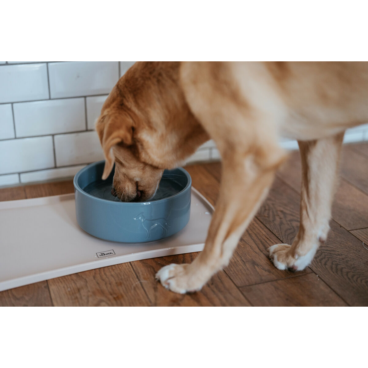 Hundmatare Hunter OSBY Blå Keramik 1,1 L - 4