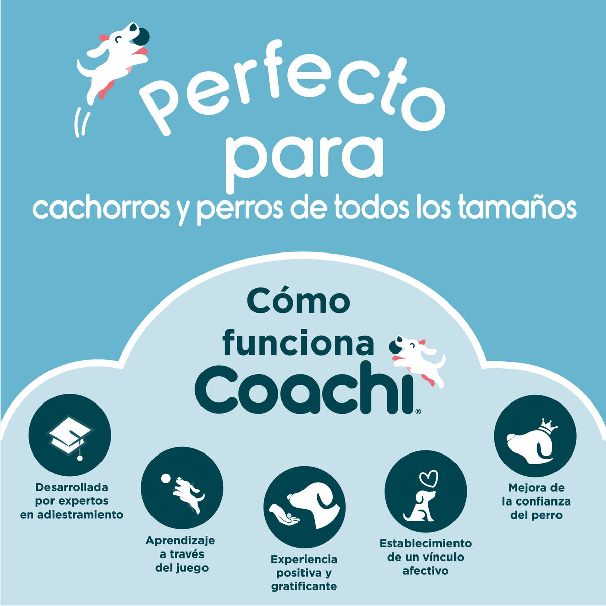 Bag Coachi Train & Treat Korall - 3