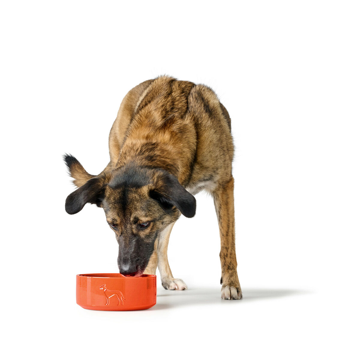 Hundmatare Hunter OSBY Orange Keramik 350 ml - 3