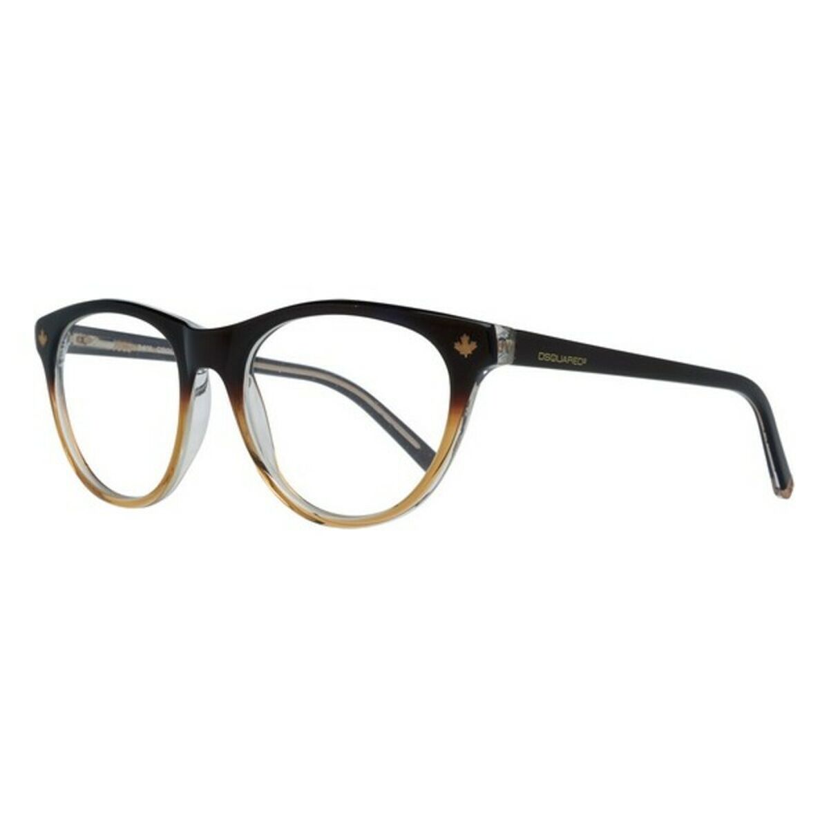 Glasögonbågar Dsquared2