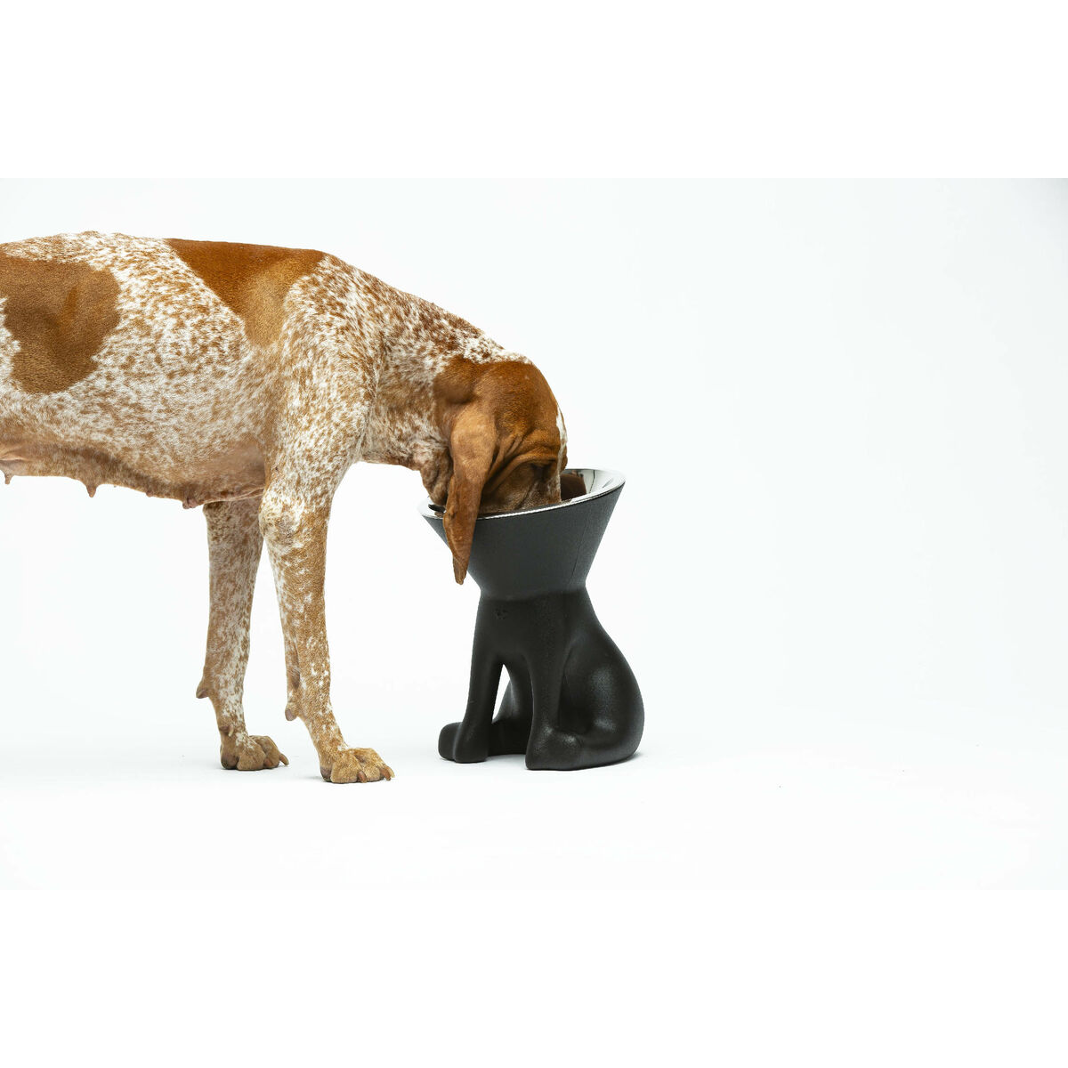 Hundmatare United Pets Up Elisabeth Svart Rostfritt stål Polyetylen 1 L - 5