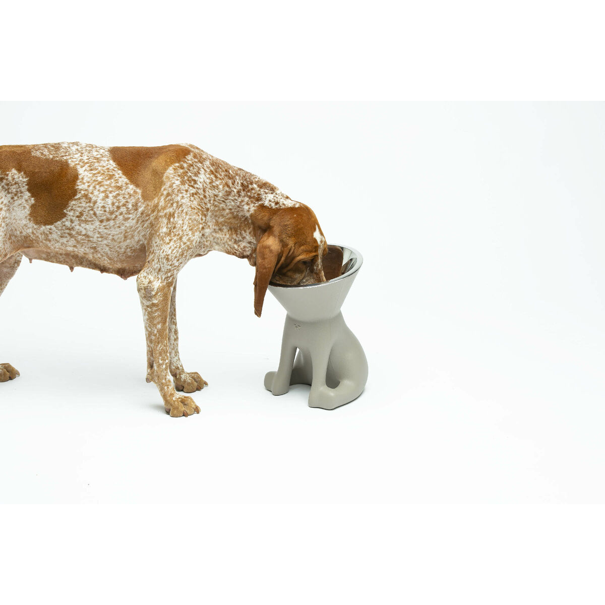 Hundmatare United Pets Up Elisabeth Grå Rostfritt stål Polyetylen 1 L - 3