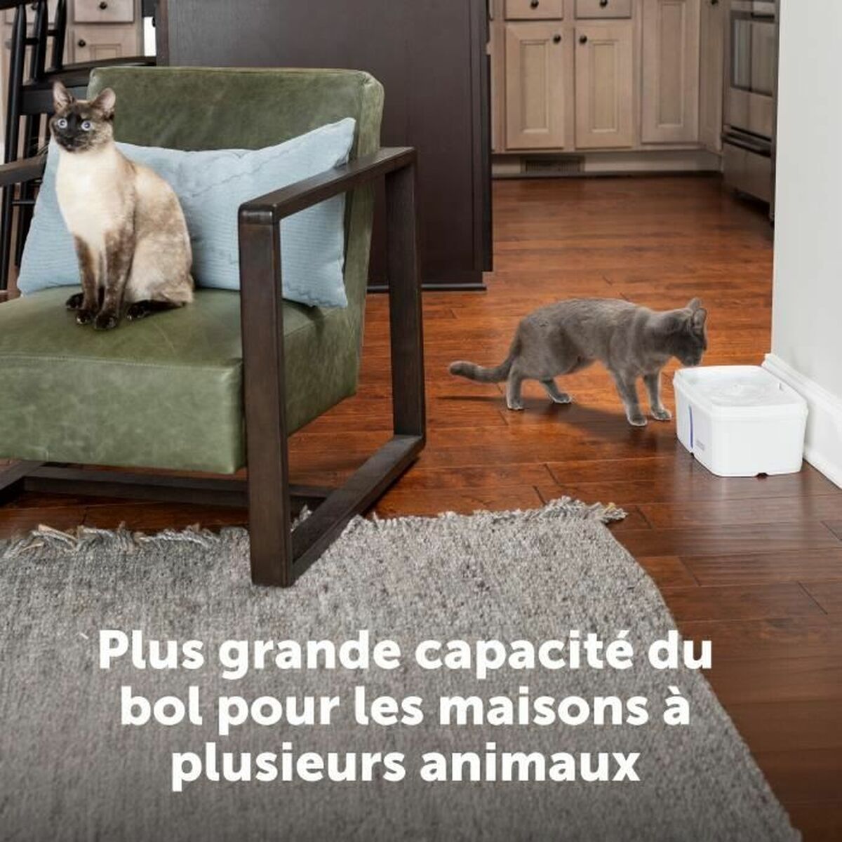 Fontän för husdjur PetSafe Vit - 4