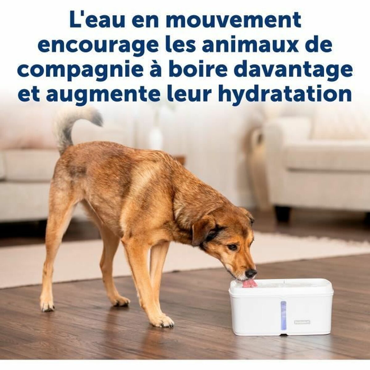Fontän för husdjur PetSafe Vit - 2
