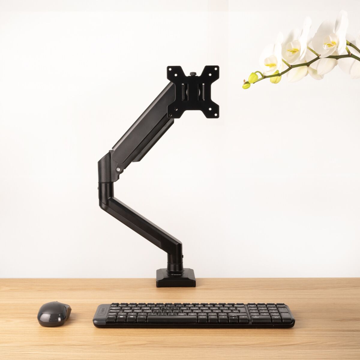 TV-fäste TooQ DB1334TNR-B 13" 10 kg - 3