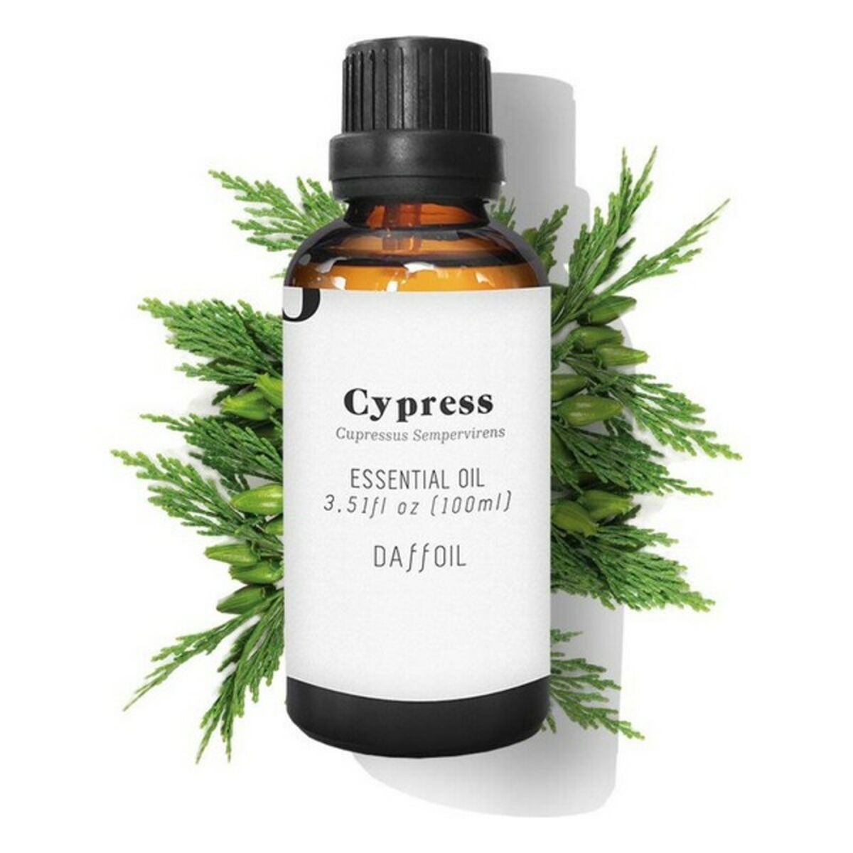 Eterisk olja Cypress Daffoil Daffoil 100 ml - 2
